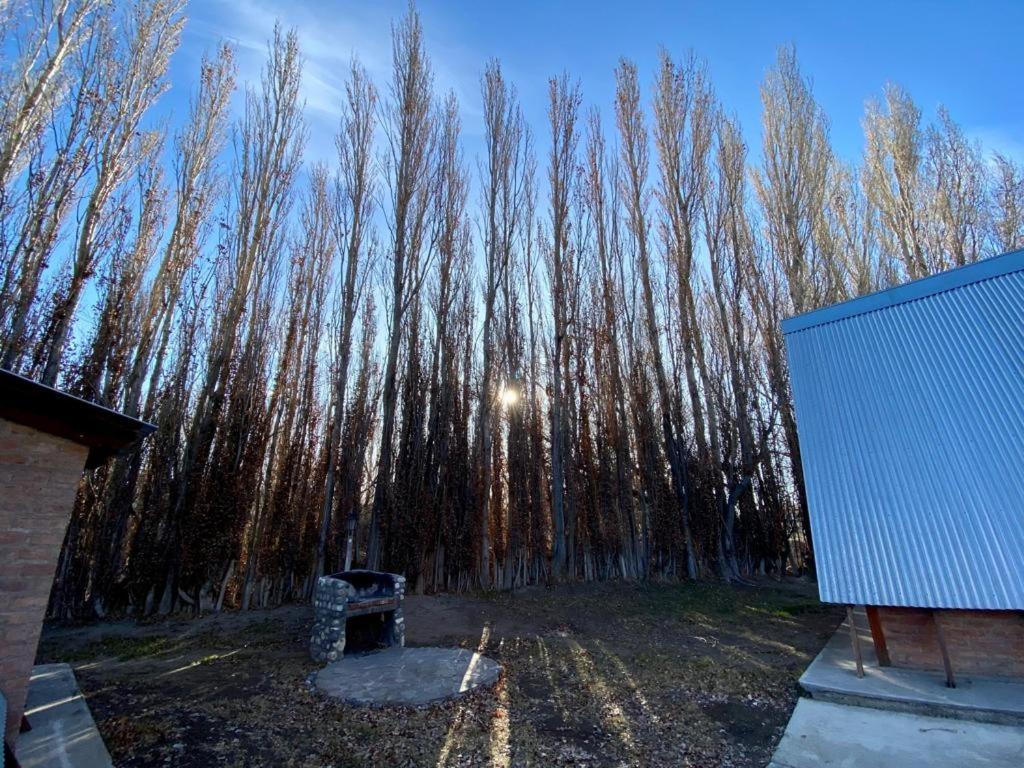 Hosteria & Cabanas Rio Fenix Perito Moreno Dış mekan fotoğraf